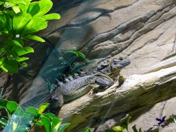 Haus des Meeres 13.03.2026